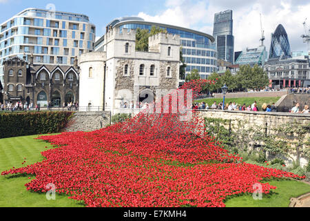 Erinnerung-Mohn im Tower von London, England, Vereinigtes Königreich. Stockfoto