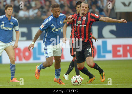 Gelsenkirchen, Deutschland. 20. Sep, 2014. Schalke Dennis Aogo (L) und der Frankfurter Alexander Meier in Aktion während der Bundesliga-match zwischen FC Schalke und Eintracht Frankfurt in Veltins Arena in Gelsenkirchen, Deutschland, 20. September 2014. Foto: MATTHIAS BALK/Dpa (Achtung: aufgrund der Akkreditierungsrichtlinien die DFL nur erlaubt die Veröffentlichung und Nutzung von bis zu 15 Bilder pro Spiel im Internet und in Online-Medien während des Spiels.) / Dpa/Alamy Live News Stockfoto