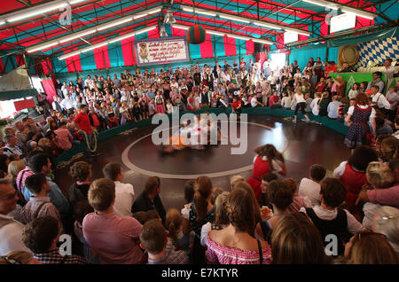 München, Deutschland. 20. Sep, 2014. Massen feiern auf dem Oktoberfest in München, Deutschland, 20. September 2014. 181. Oktoberfest dauert bis zum 5. Oktober 2014. Foto: CHRISTIAN CHARISIUS/Dpa/Alamy Live News Stockfoto