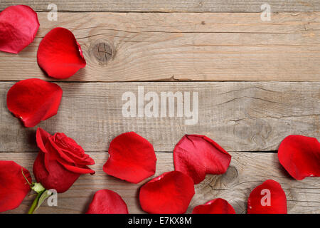 Rote Rosen und Rosenblätter auf hölzernen Hintergrund Stockfoto