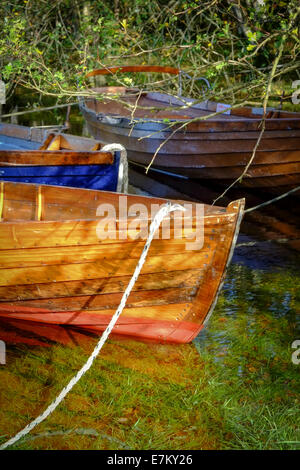 Ruderboote vertäut am Rande eines Sees Stockfoto