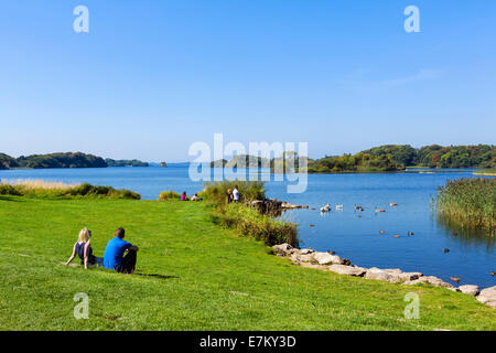 Am Ufer des Lough Leane in der Nähe von Ross Castle, Killarney National Park, County Kerry, Irland Stockfoto