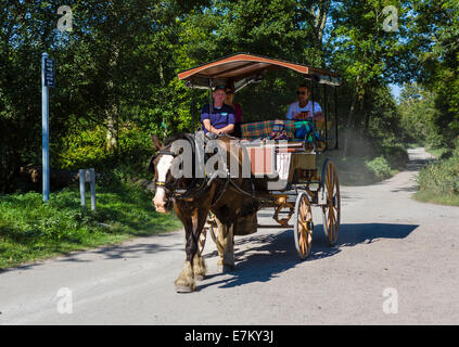 Pferd und Kutsche "Jaunting Car" Reiten in der Nähe von Ross Castle in Killarney National Park, County Kerry, Irland Stockfoto