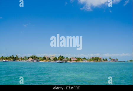 Caye Caulker Belize Karibik Stockfoto