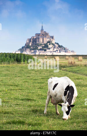 Bucht von Mont Saint Michel aufgeführt als UNESCO-Welterbe, Kuh auf der Weide und Mont Saint Michel im Hintergrund Stockfoto