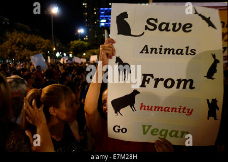 Ein Demonstrator hält ein Plakat mit der Aufschrift „Rettet Tiere vor der Menschheit, geht Vegan“ während einer Kundgebung für Tierrechte in Tel Aviv, Israel, am 20. September 2014. Demonstranten halten Schilder hoch, die Tiertransporte nach Israel für Schlachtung und Tierversuche anprangern. Stockfoto