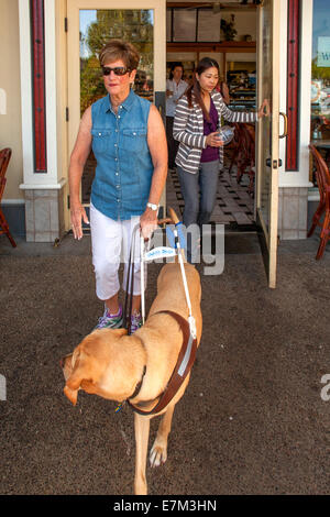 Angeführt von ihrem gelben Labrador Retriever Blindenhund, eine blinde Frau verlässt ein Restaurant in einem Vorort Irvine, CA. Blindenhunden gesetzlich zulässig sind in den Restaurants. Stockfoto