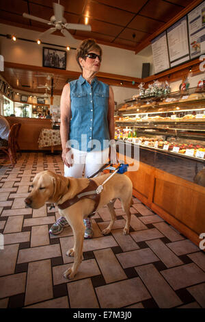 Angeführt von ihrem gelben Labrador Retriever Blindenhund, eine blinde Frau besucht ein Restaurant in einem Vorort Irvine, Kalifornien. Stockfoto