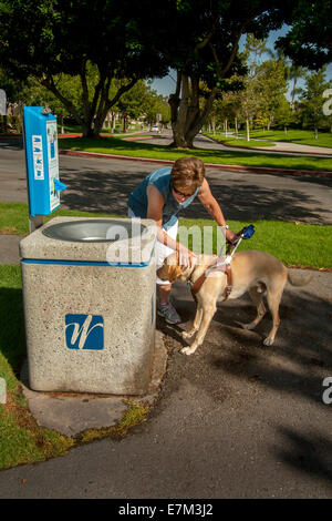 Spaziergang in einem Park in einem Vorort Irvine, CA, eine blinde Frau leitet ihre gelben Labrador Retriever zu einem Wahrzeichen "Locator"--ein Stockfoto