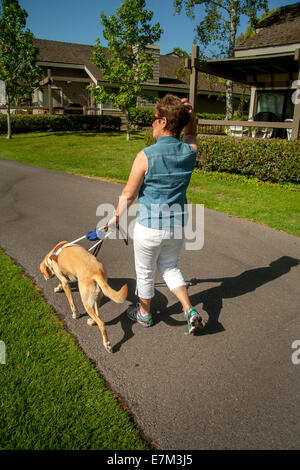 Angeführt von ihrem gelben Labrador Retriever Blindenhund, geht eine blinde Frau in einem Park in einem Vorort Irvine, CA. Stockfoto