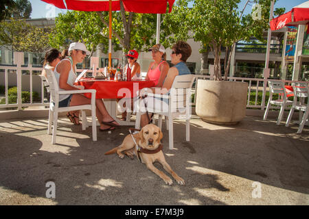 Begleitet von ihrem gelben Labrador Retriever Blindenhund, schließt sich eine blinde Frau Diners auf einen Außenpool, ein Restaurant im Vorort Irvine, CA. Blindenhunde sind in Restaurants gesetzlich erlaubt. Stockfoto