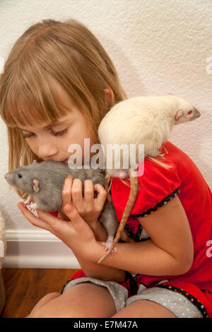 Ein acht-Year-Old Girl spielt mit ihrem Haustieren Ratten zu Hause in Lake Forest, Kalifornien. Die weiße Ratte ist ein Siamese, die blaue Ratte ein Misty Blue Stockfoto