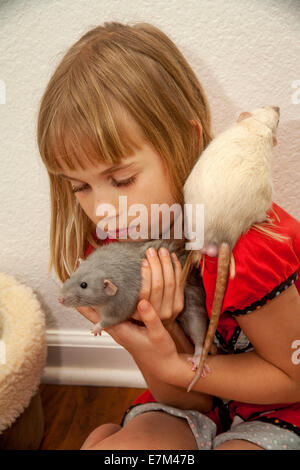 Ein acht-Year-Old Girl spielt mit ihrem Haustieren Ratten zu Hause in Lake Forest, Kalifornien. Die weiße Ratte ist ein Siamese, die blaue Ratte ein Misty Blue Stockfoto