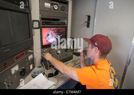 Mit einer Fernbedienung TV-Kamera, inspiziert ein Klempner das Innere ein Abflussrohr für Lecks in Laguna Niguel, CA. Hinweis Wurzeln auf dem Bildschirm angezeigt. Stockfoto