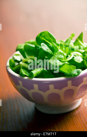 Feldsalat, Feldsalat in Keramikschale Stockfoto