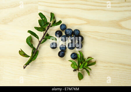 Schlehe oder Blackthorn Beeren mit grünen Blättern auf einer hellen Holzoberfläche Stockfoto