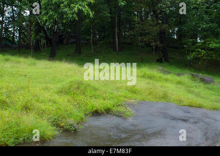 Stock Bild - Grass Vally Stockfoto