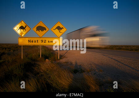 Ein Roadtrain Schild Warnung von Kamelen vorbei, in der Nähe von Wombats und Kängurus die Nullarbor Roadhouse in der Abenddämmerung. Stockfoto