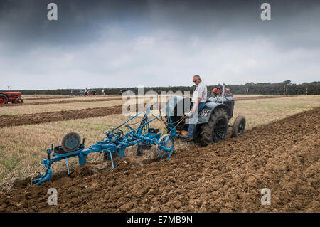 Ein Landwirt in einem Pflügen Wettbewerb auf die Echse in Cornwall konkurrieren. Stockfoto