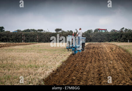 Ein Landwirt in einem Pflügen Wettbewerb auf die Echse in Cornwall konkurrieren. Stockfoto