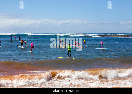 Sydney, Australien. 21. Sep, 2014. Teilnehmer können Paddleboards, Ocean-Kajaks und Ausleger. Moderiert wird die Veranstaltung durch die Newport Kinghorn Surf Racing Academy. Bildnachweis: Martin Beere/Alamy Live News Stockfoto