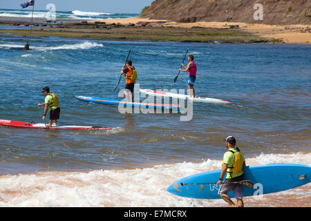 Sydney, Australien. 21. Sep, 2014. Teilnehmer können Paddleboards, Ocean-Kajaks und Ausleger. Moderiert wird die Veranstaltung durch die Newport Kinghorn Surf Racing Academy. Bildnachweis: Martin Beere/Alamy Live News Stockfoto