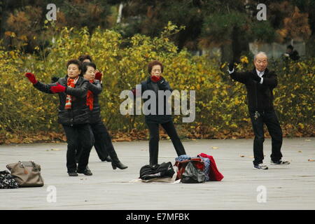Chinesen machen Tai Chi am Parc De La Villette, Cité des Sciences et de l ' Industrie, Paris, Frankreich. Stockfoto