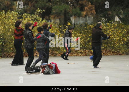 Chinesen machen Tai Chi am Parc De La Villette, Cité des Sciences et de l ' Industrie, Paris, Frankreich. Stockfoto