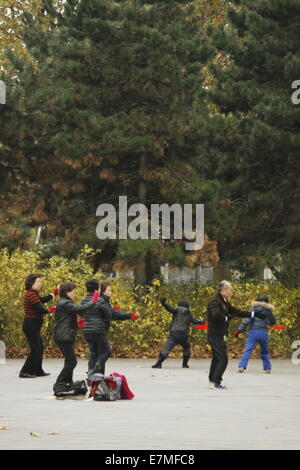 Chinesen machen Tai Chi am Parc De La Villette, Cité des Sciences et de l ' Industrie, Paris, Frankreich. Stockfoto