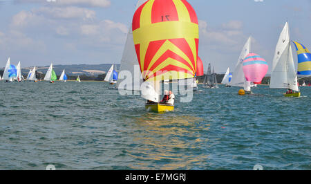 Barts Bash, Chichester Harbour, West Sussex, UK. 21. September 2014. In Erinnerung an die spät (Bart) Andrew Simpson Sonntage Bash konstituierenden Barts. Itchenors Jollensegler in Bart Simpson grüne t-Shirts Rennen in einen Guinness-Weltrekord versuchen für das größte Segeln Rennen aller Zeiten (tatsächlich Hunderte von Rennen alle gehaltenen innerhalb eines 24-Stunden-Fensters), im Andenken an eines dieser Countrys größten Olympiasegler, Andrew Simpson, der auf tragische Weise ums Leben bei einem Americas Cup Trainingsunfall letztes Jahr. Computer analysieren die gewinnenden Boote Handicaps, Windverhältnisse, die Welt zu produzieren champ Credit: Gary Blake/Alamy Li Stockfoto