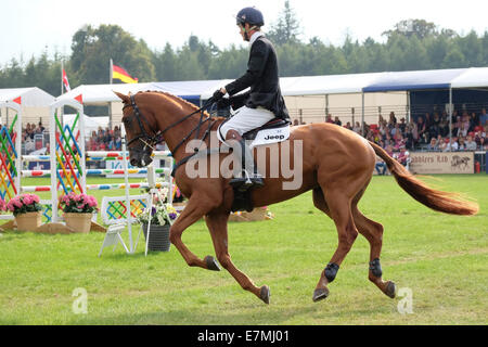 William Fox-Pitt Springreiten Event im Blenheim Palace Stockfoto