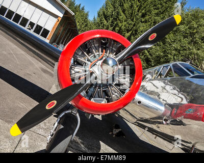 Detail von einem Pratt & Whitney Flugmotor auf ein Veteran Beechcraft Twin Flugzeuge (Beechcraft Model 18), das restauriert wurde. Stockfoto