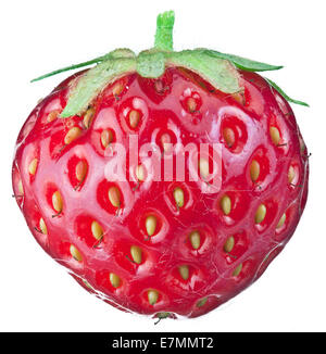 Eine reiche Erdbeer-Frucht isoliert auf einem weißen Hintergrund. Stockfoto