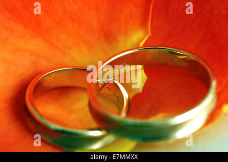 Trauringe auf orange farbigen Blütenblätter Stockfoto