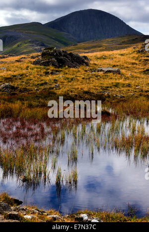 Eine kleine Seenplatte Tarn in Richtung Grün und großen Giebel Fjälls. Stockfoto