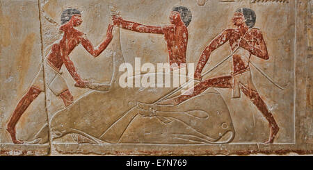 Geben Angebote (Schlachtung eines Stiers) Szene aus dem Grab der Prinzessinnen Idut in Sakkara (Sakkara) 2300 v. Chr. Stockfoto