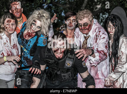 Zombies schleichen durch die Nacht bei einem jährlichen Zombie-Spaziergang Stockfoto