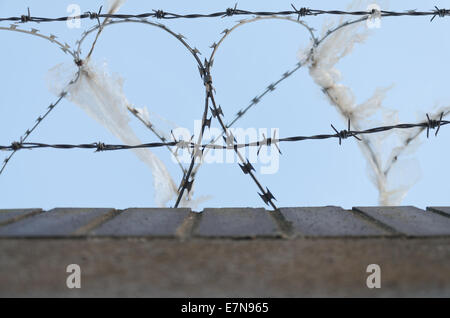 Verzinkte Hochsicherheits-Stacheldraht und Stacheldrähte abschreckende zu verlangsamen, Klettern über Wände mit Masse aus geriebenen Kunststoff Stockfoto