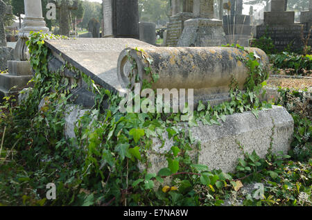 Reihen von Schiefer Sandstein Marmor Kalkstein Kontrast als Grabstein in einem Friedhof Erinnerung und Respekt in Flechten bedeckt Stockfoto