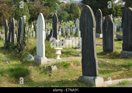 Reihen von Schiefer Sandstein Marmor Kalkstein Kontrast als Grabstein in einem Friedhof Erinnerung und Respekt in Flechten bedeckt Stockfoto