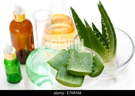 Experimentieren Sie mit Aloe Stockfoto