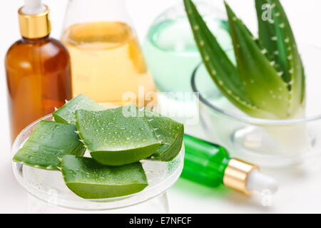 Experimentieren Sie mit Aloe Stockfoto