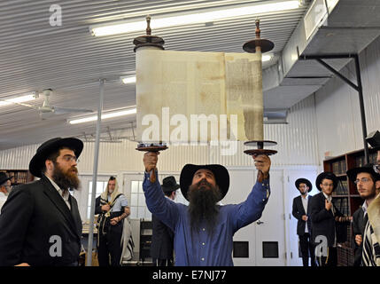 Tora-Rolle wird ausgelöst, nachdem eine Lesung am Wochentag Morgen Services bei der Ohel in Cambria Heghts, Queens, New York. Stockfoto