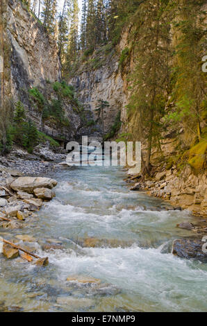 Wasserfall entlang der Johnston Creek Trail, Alberta, Kanada Stockfoto