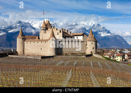 Burg, Aigle, Aigle, Schweiz, Europa, Kanton Waadt, Schloss, Weingut Stockfoto