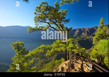 Kanaren, Kanarische Inseln, Inseln, La Palma, Spanien, Europa, draußen, Tag, niemand, Parque Nacional De La Caldera de Taburiente, Registerkarte " Stockfoto