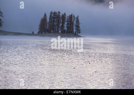 Engadin, Engadin, Champferersee, Morgennebel, Herbst, Holz, Wald, Kanton Graubünden, Graubünden, Unterengadin, GR, untere Engadi Stockfoto