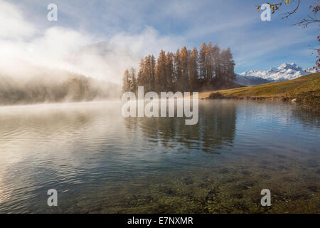 Engadin, Engadin, Champferersee, Morgennebel, Herbst, Holz, Wald, Kanton Graubünden, Graubünden, Unterengadin, GR, untere Engadi Stockfoto