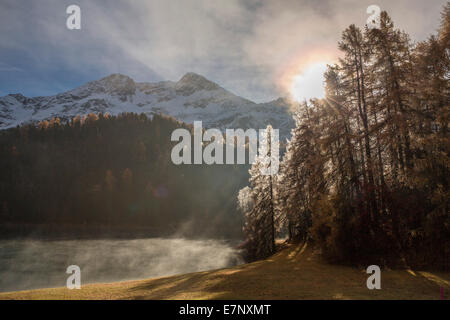 Engadin, Engadin, Champferersee, Morgennebel, Herbst, Holz, Wald, Kanton Graubünden, Graubünden, Unterengadin, GR, untere Engadi Stockfoto