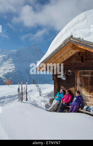 Ski, Ski-Tourist, Grindelwald, ridge, Eigers, Berg, Berge, Ski, Skifahren, Carving, Winter, Wintersport, Kanton Bern, Ber Stockfoto